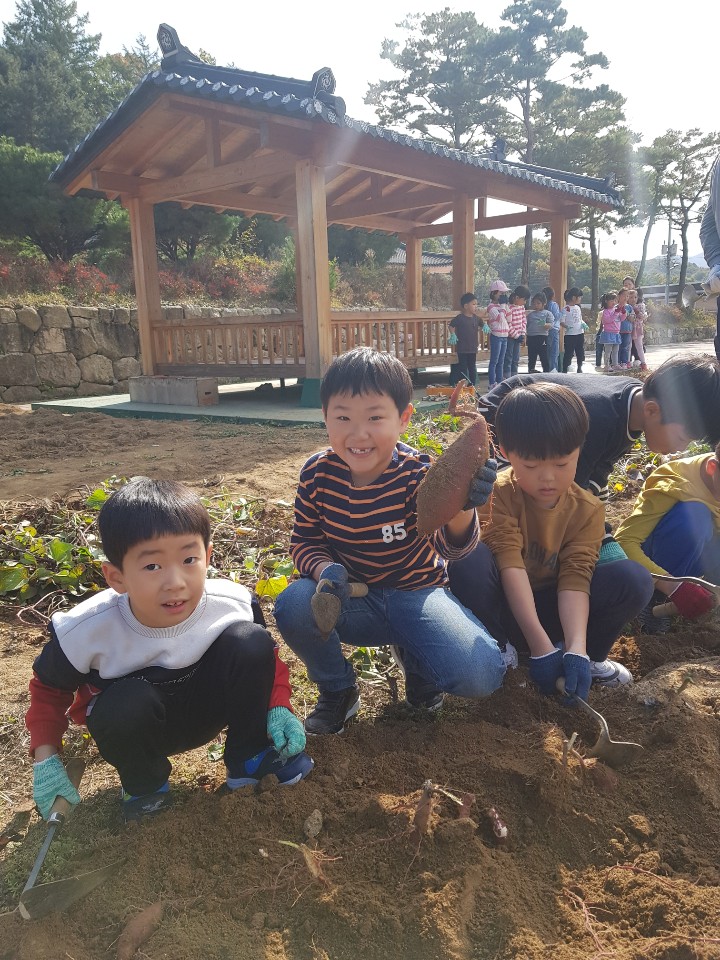 2019. 10. 25. 조엄기념관 달콤한 소풍 (가을교육)