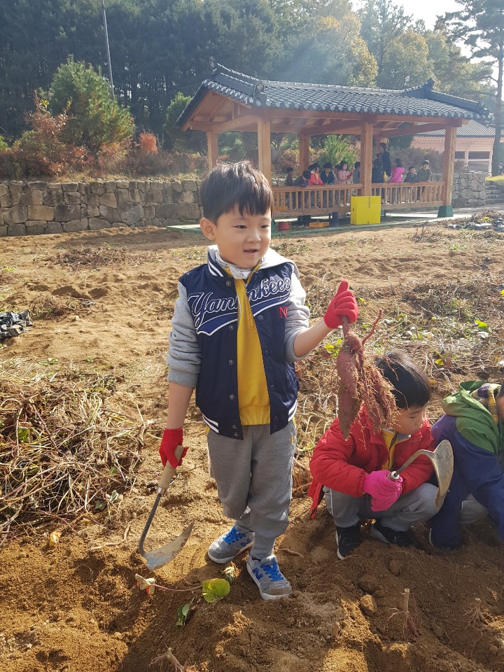 2019. 10. 29. 조엄기념관 달콤한 소풍 가을교육