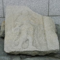 ̹: ܸ鼮